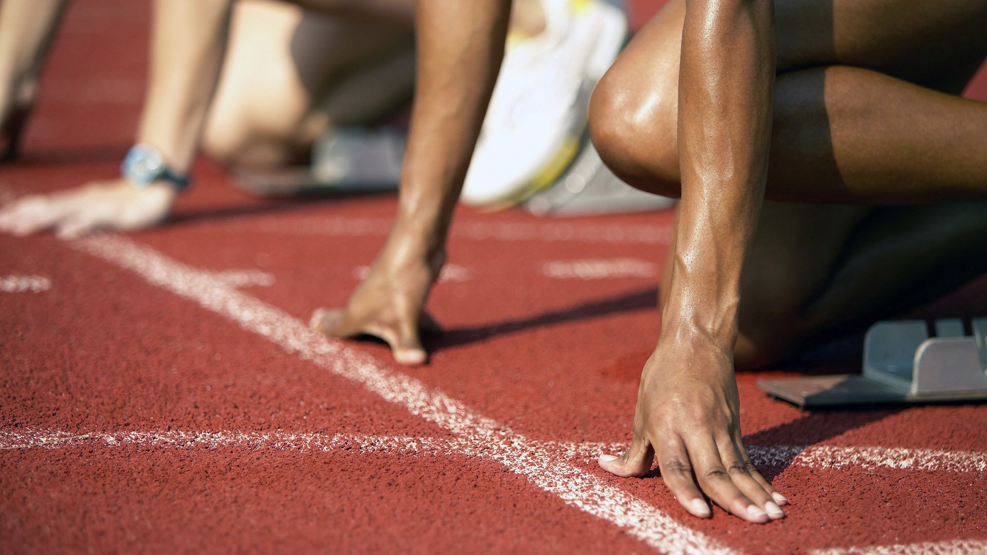 极端环境之战：高海拔、荒漠、冰雪的多重考验，极端环境生物